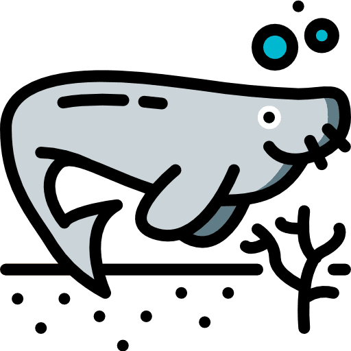 Sea cow wildlife animals sea cow icon