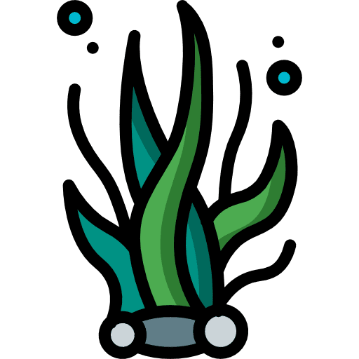 Seaweed seaweed nature aquarium icon
