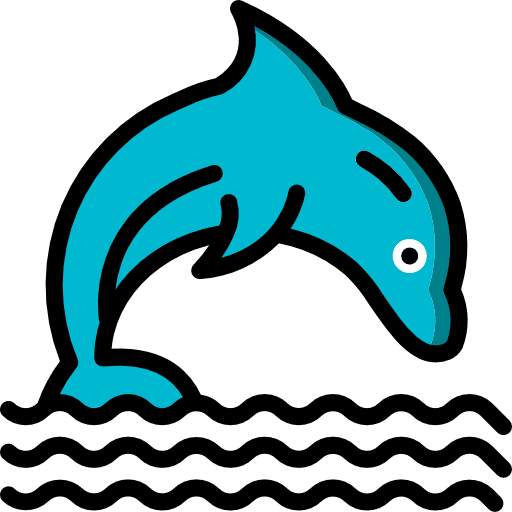 Dolphin dolphin aquatic animal kingdom icon