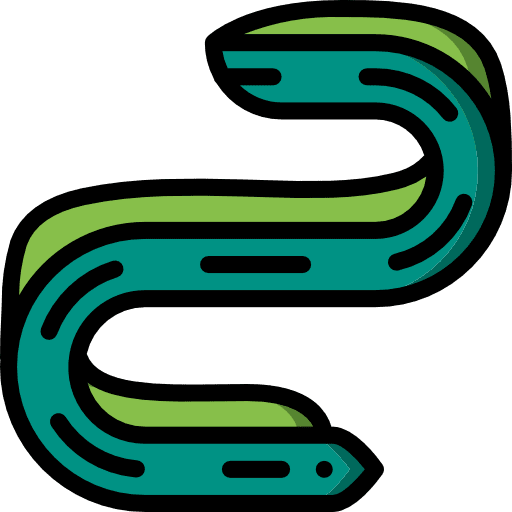 Eel aquatic eel animals icon