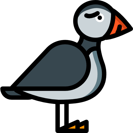 Puffin puffin fauna fly icon