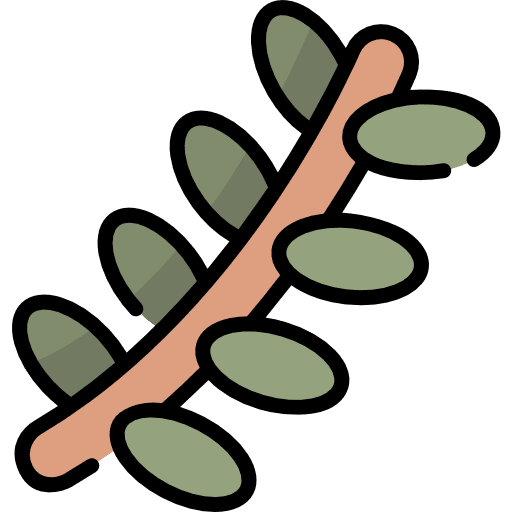 Branch branch forest leaf icon