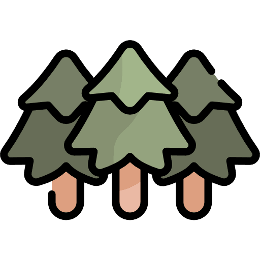 Forest nature trees pines icon