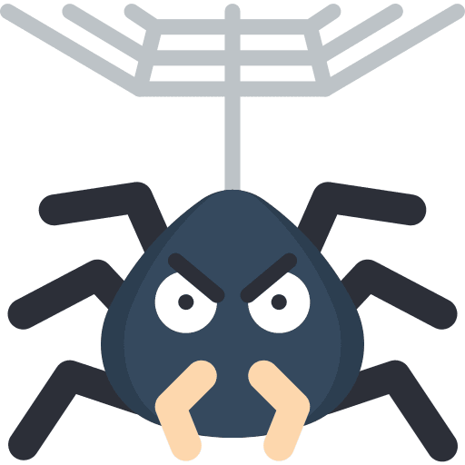 Spider insect arachnid cobweb icon