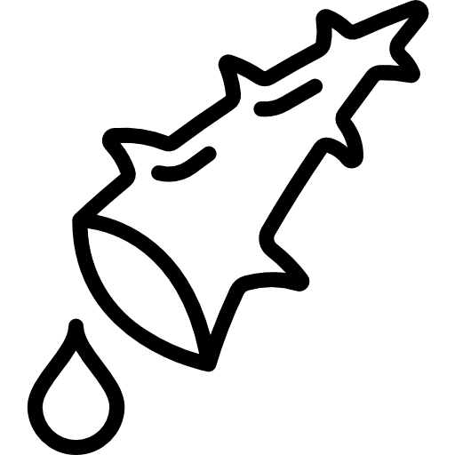 Aloe nature aloe aloe vera icon