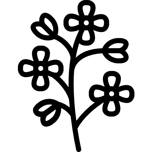 Mustard mustard food farming and gardening icon