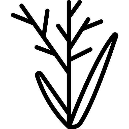 Grass farming and gardening plant ground icon