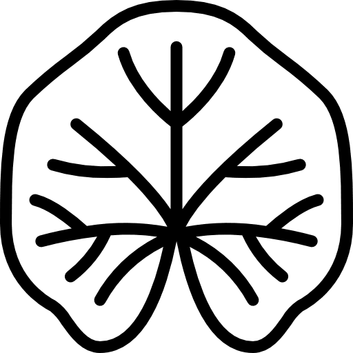 Mallow flower mallow botanical icon