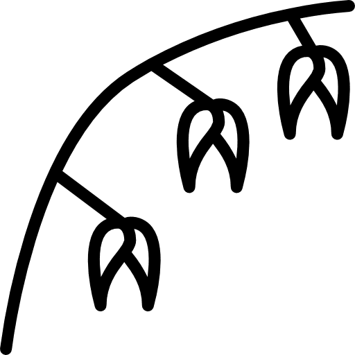 Oat farming and gardening nature seeds icon
