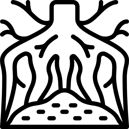 Root dry nature healthcare and medical icon