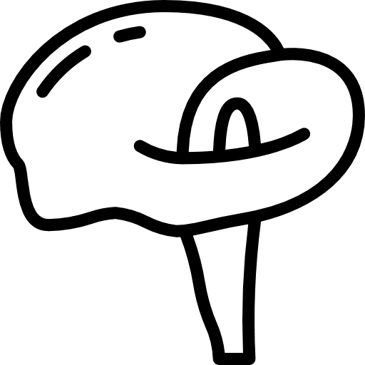 Arum nature floral arum icon