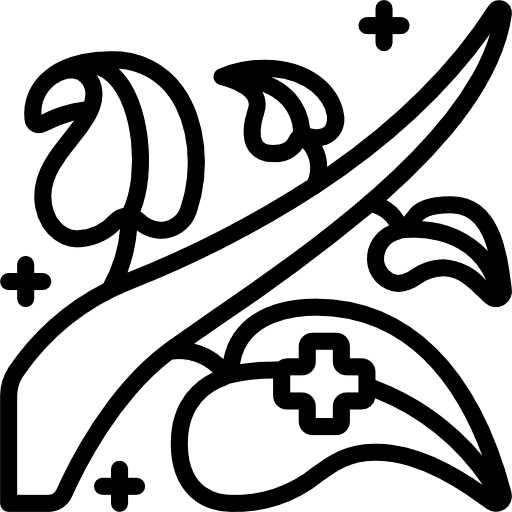 Herbal medical natural nature icon