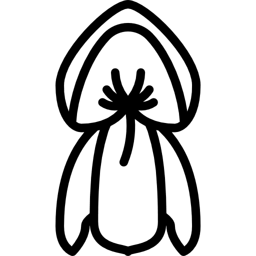 Pea nature farming and gardening flower icon