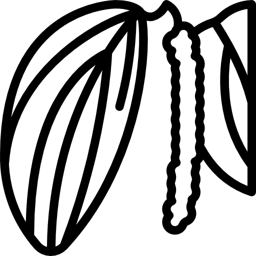 Pepper fruit organic farming and gardening icon