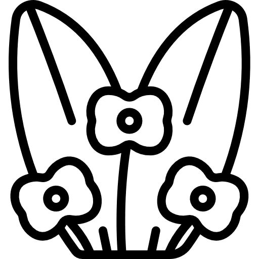 Spurge spurge plant blossom icon