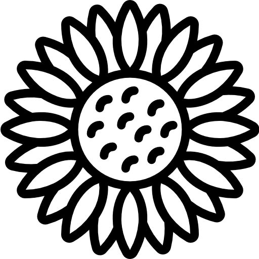 Sunflower plant petals nature icon