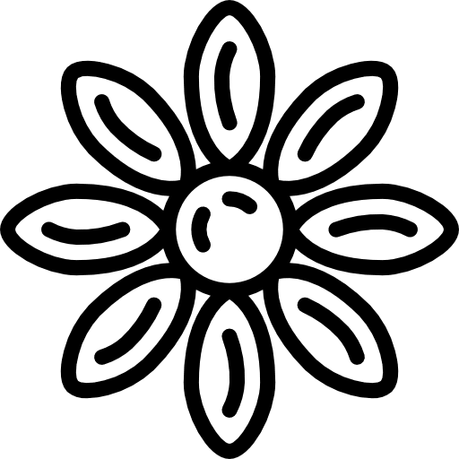 Asteraceae botanical asteraceae plant icon