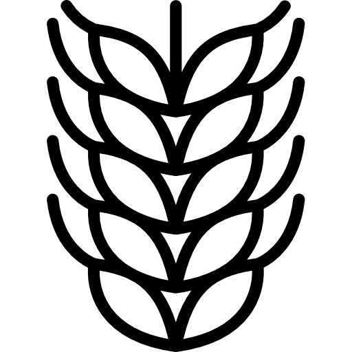 Barley branch seeds grain icon