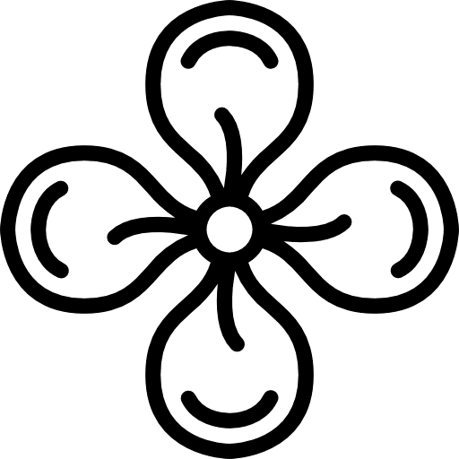 Brassicarceae floral nature plant icon