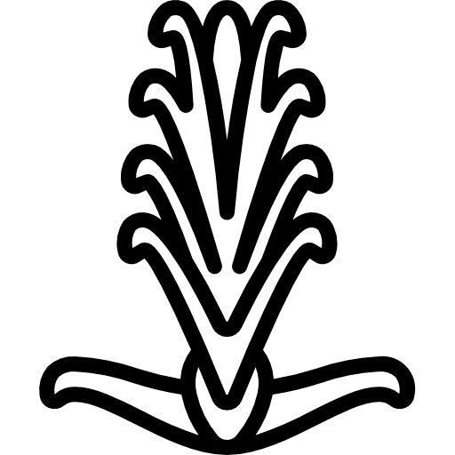 Acanthaceae plant petals blossom icon