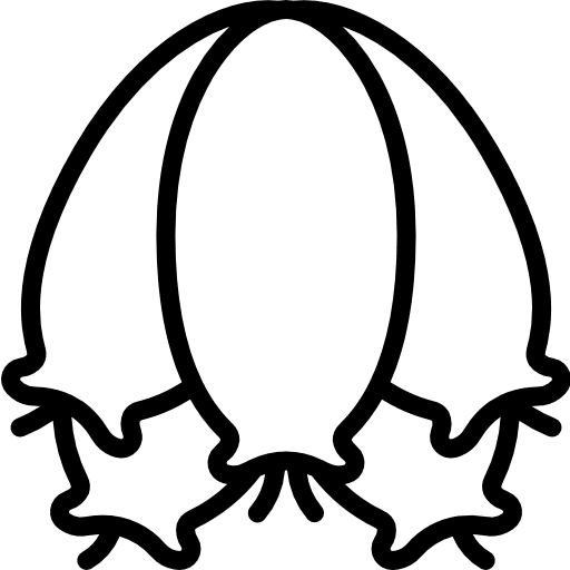 Heath heath botanical plant icon