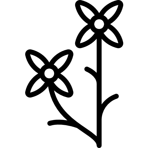 Madder nature flower madder icon