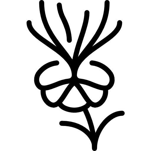 Melastome nature botanical plant icon