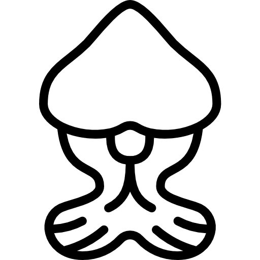 Mint botanical nature mint icon