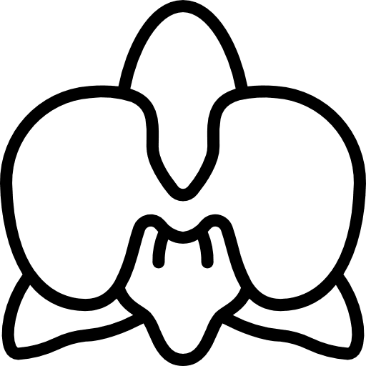 Orchidaceae petals flower blossom icon