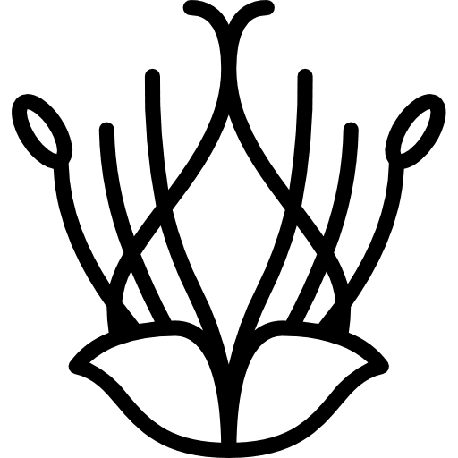 Sedge floral flower blossom icon