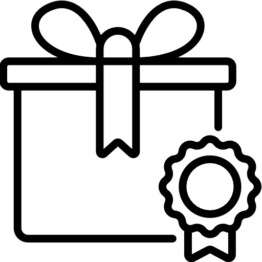 Gift birthday and party present christmas icon