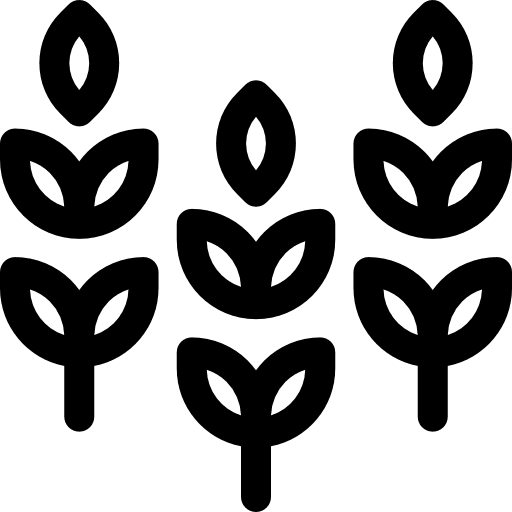 Wheat farming and gardening branch nature icon