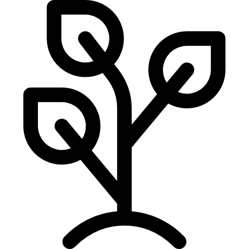 Plant growing plant nature leaf icon