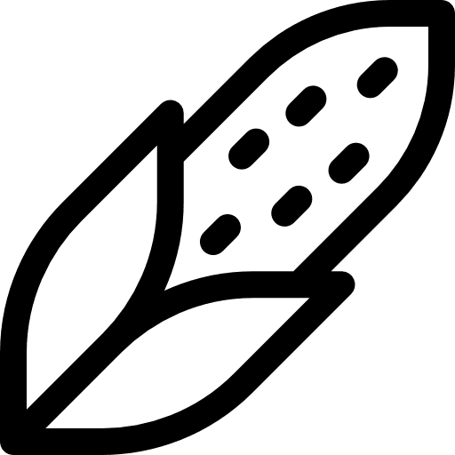 Corn food and restaurant organic food icon