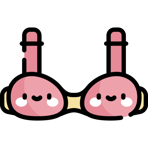 Bra clothes bra brassiere icon