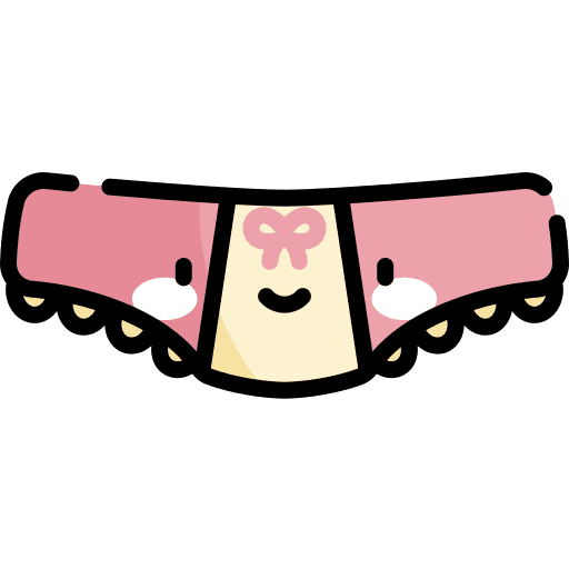 Panties underpants knickers femenine icon