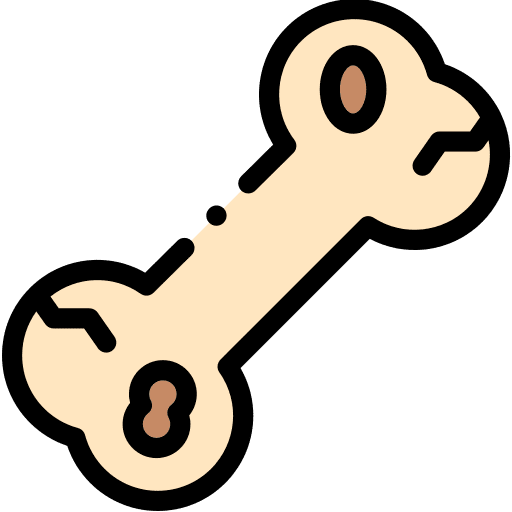 Fossil soil fossil paleontology icon