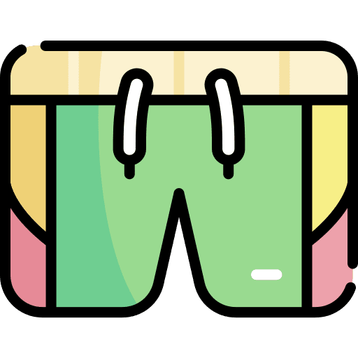 Swimsuit short pants garment icon
