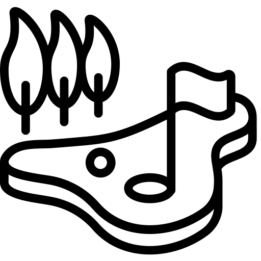 Birdie golf ball leisure icon