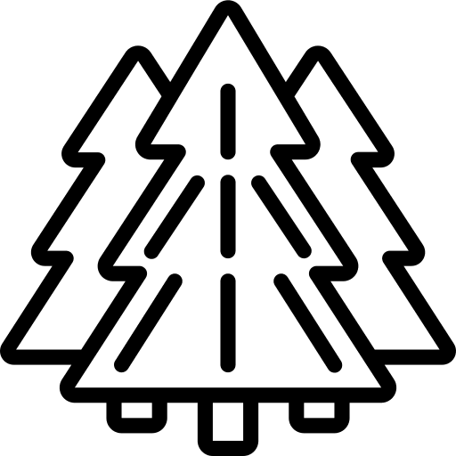 Trees ecology and environment pine botanical icon