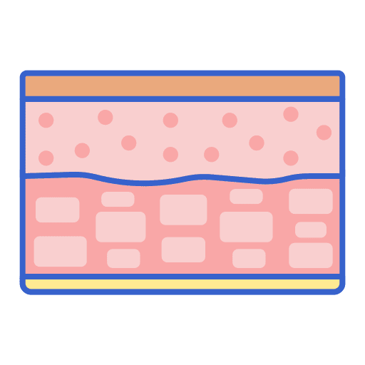 Skin dermathology epidermis skin icon
