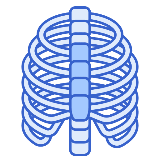 Ribs healthcare and medical internal bone icon