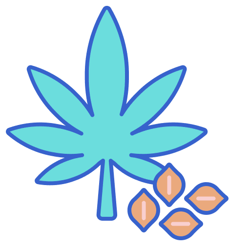 Hemp plant seeds leaves icon