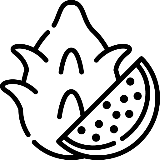 Dragon fruit vegetarian dragon fruit pitaya icon