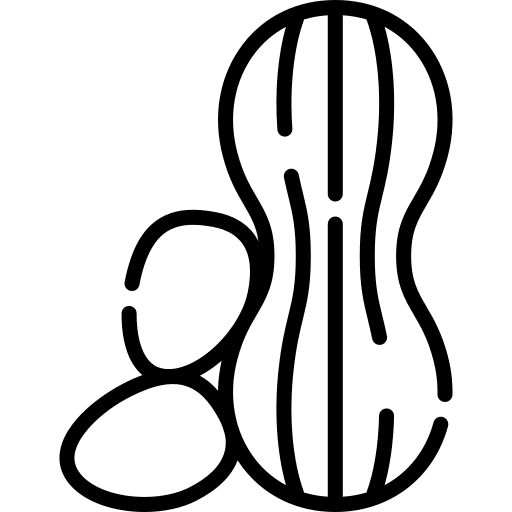 Peanut peanut snack food and restaurant icon