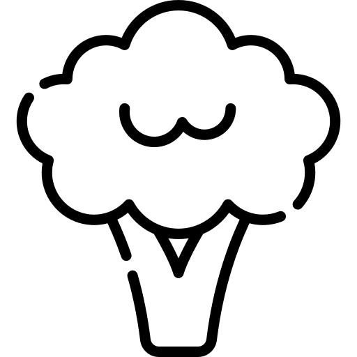 Broccoli vegetables food foods icon