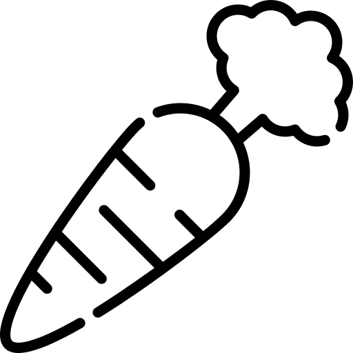 Carrot food vegetarian healthy food icon