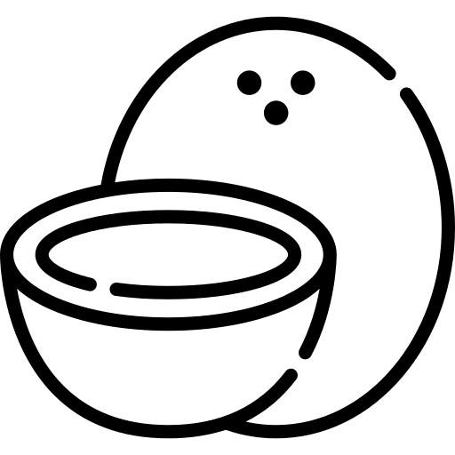 Coconut drink natural food icon