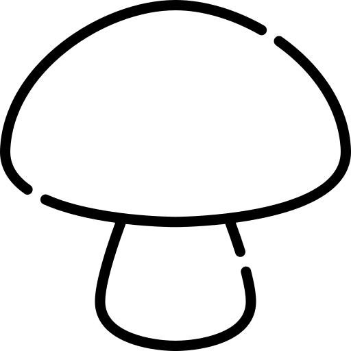 Mushroom mushroom muscaria fungi icon