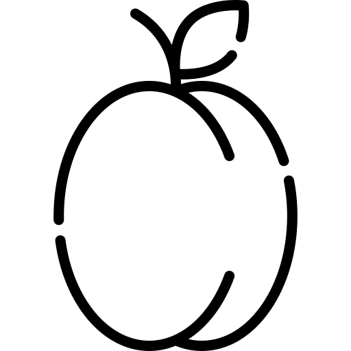 Plum fruit organic healthy food icon